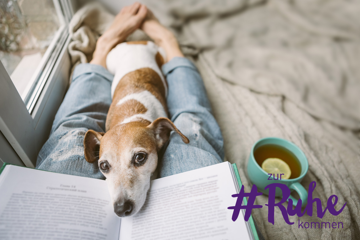 Teaser Bild für Artikel